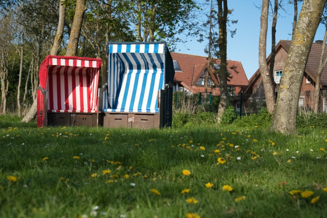 Strandkörbe am Grünstrand in Friedrichskoog-Spitze