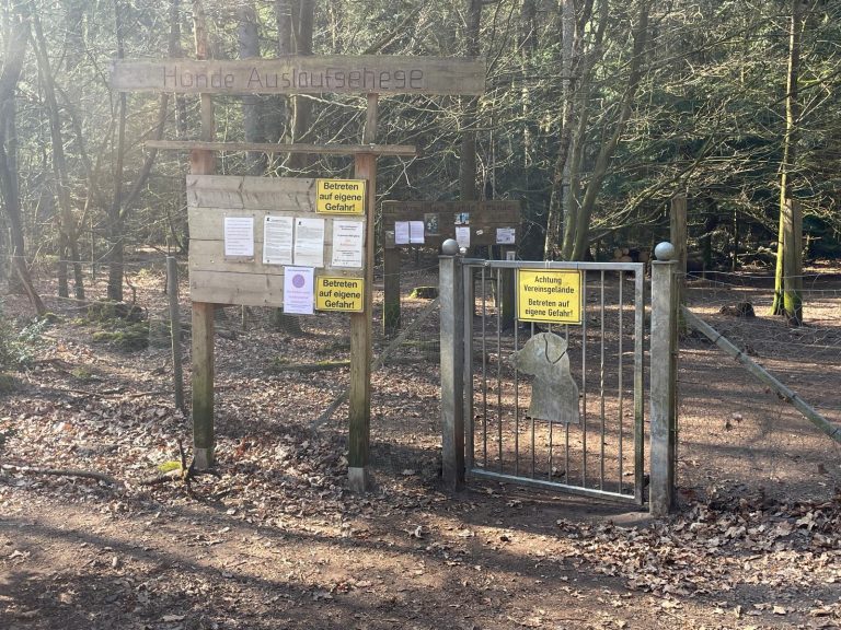 Hundewald Auslauf Christianslust bei St. Michaelisdonn