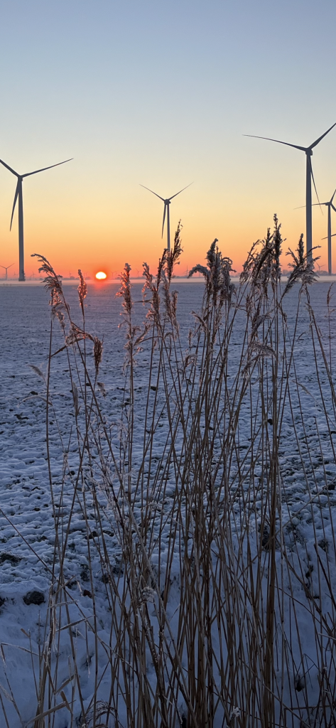 Winter in Friedrichskoog-Spitze – verschneite Marschlandschaft mit Reet, Windrädern und Sonnenuntergang