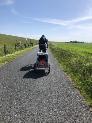 Fahrradtour mit Hund Marie im Anhänger auf Deichstraße Friedrichskoog an sonnigem Tag, links der Deich, rechts Felder