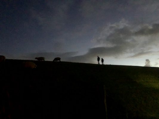 Zwei Personen in der Nacht auf dem Deich, mystisch