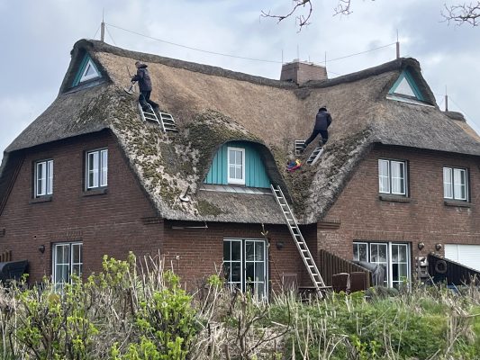 Reet-Dachdecker auf einem norddeutschen reet-gedeckten Haus, sie tragen die moosige Schicht ab