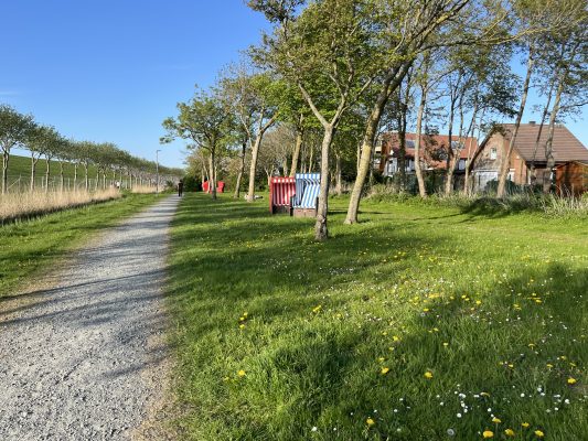 Strandweg mit Kies, entlang einer sattgrünen Wiese mit gelbem Löwenzahn und bunten Strandkörben