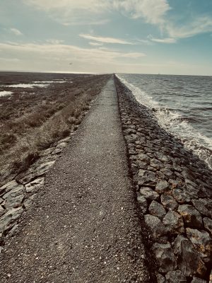 Schmaler asphaltierter Weg des Trischendamms bei Flut, rechts Meerwasser, links die Salzwiesen