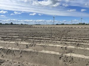 frisch bereiteter Acker mit symmetrischen Furchen Friedrichskoog