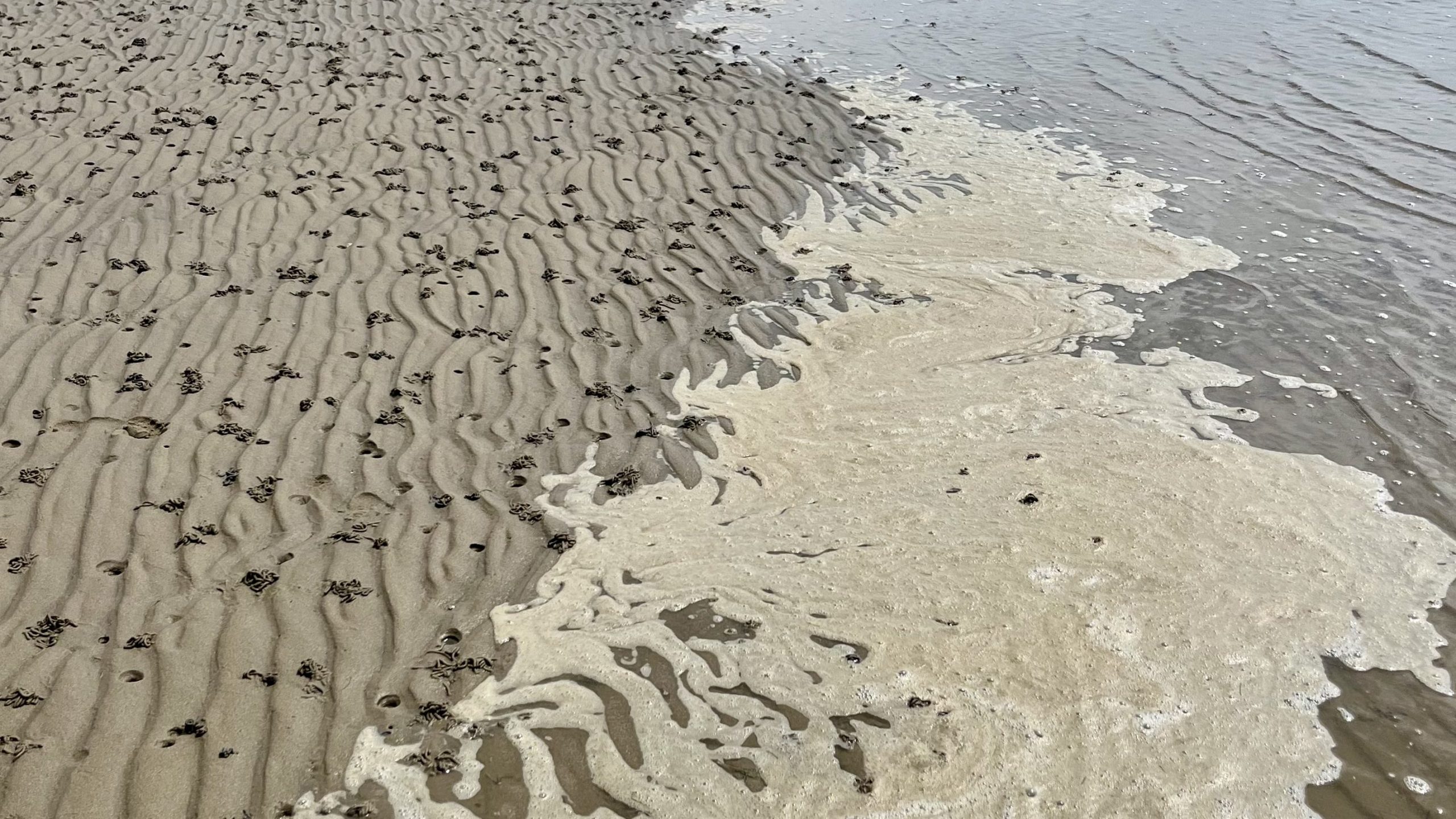 Wattboden mit Wellenmuster und Wurmlöchern