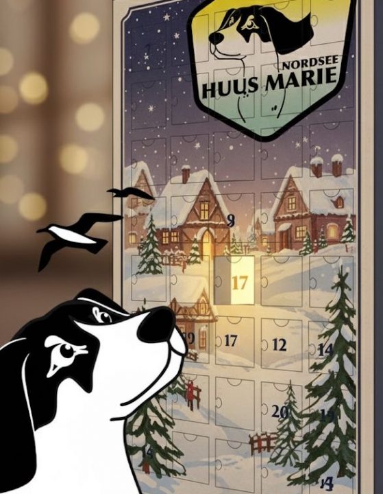 Adventskalender Huus Marie Aktionsbild für einen digitalen Adventskalender. Maskottchen Marie blickt erwartungsvoll auf einen Advetnskalender