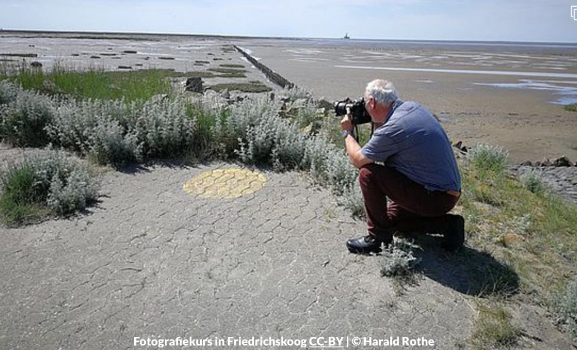 IMG_0818 Harald Rothe fotografiert das Watt