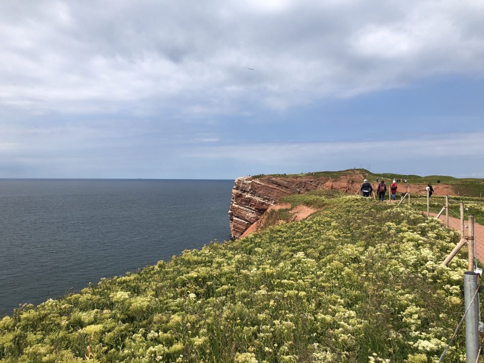 Klippen auf Helgoland Steilküste auf Helgoland entlang des Klippenrundwegs