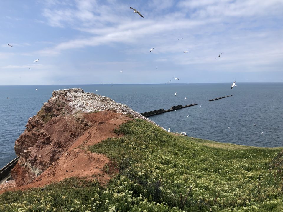 Helgoland-nördliches-Ende Blick auf das nördliche Ende von Helgoland