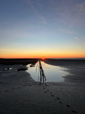 Sonnenuntergang am Hundestrand Friedrichskoog-Spitze