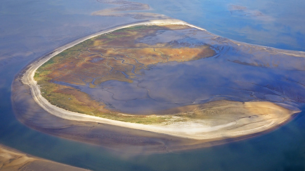 Luftaufnahme der mondsichelförmigen Insel Trischen im Wattenmeer