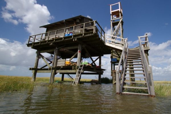 Vogelwart-Hütte auf Stelzen der Insel Trischen im Wattenmeer