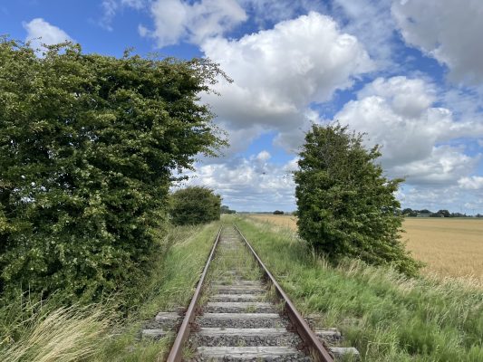 Schienen der Draisinenbahn Dithmarschen mit typischer Marsch, Feld, Wiesen und Tieren links und rechts der Trasse