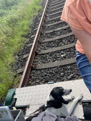 Draisine auf der Marschenbahn zwischen Marne und St. Michaelisdonn.