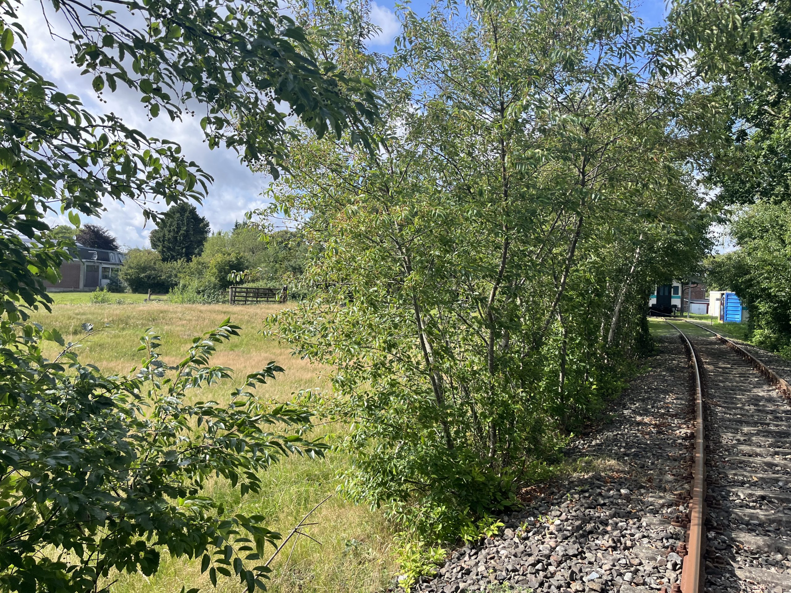 Schienen der Marschenbahn kurz vor der Station St. Michaelisdonn