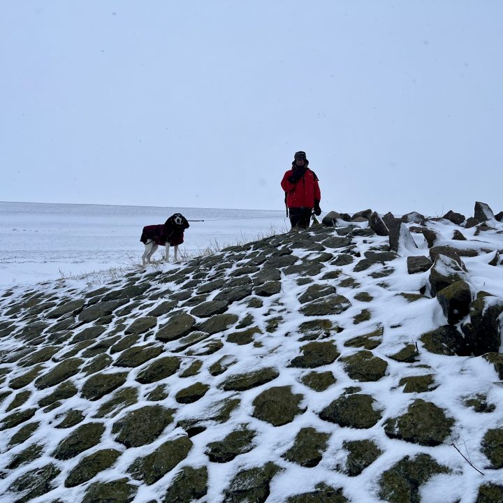 Hundespaziergang auf dem verschneiten Deich in Friedrichskoog-Spitze