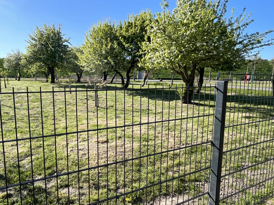 Eingezäunter Garten mit Doppelstabmattenzaun bei Huus Marie in Friedrichskoog-Spitze