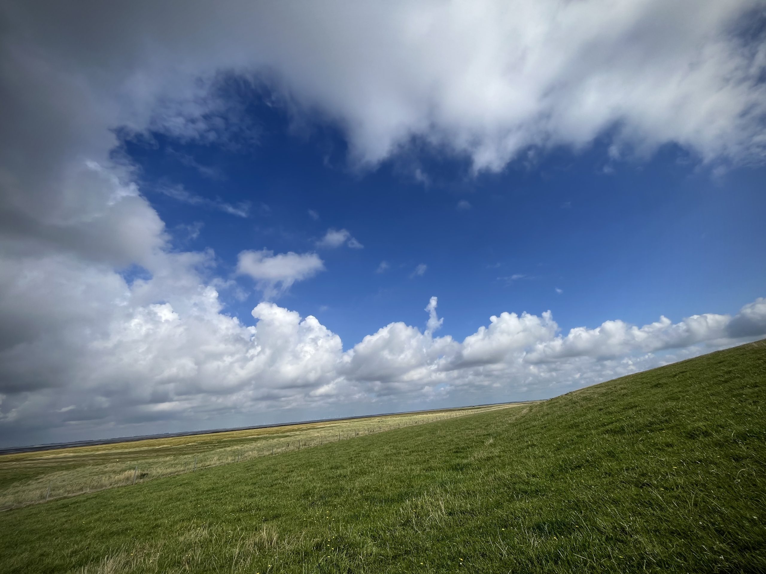 Blauer Himmel mit Wolken über dem grünen Deich in Friedrichskoog